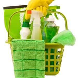 Maids Arlington Maids, House Cleaning, Home Cleaning Company