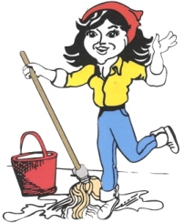 chicago cleaning company